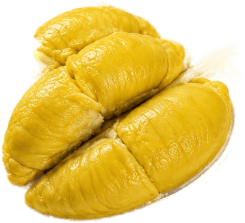Freshly opened durian showing golden flesh