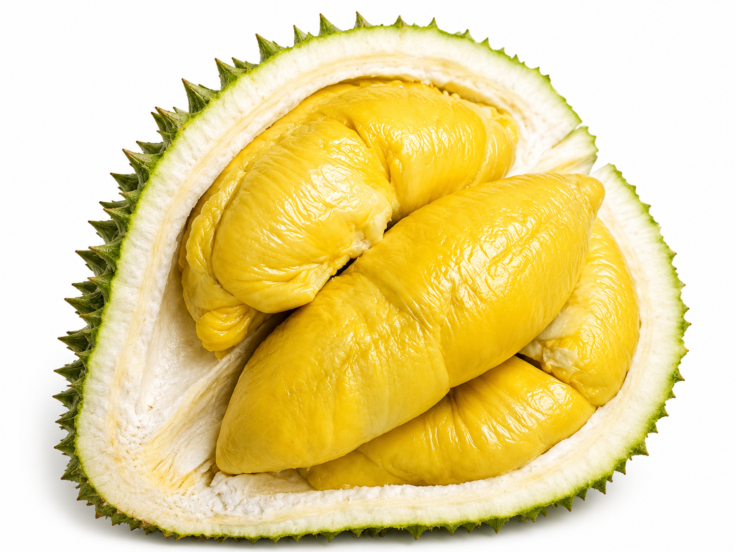 Golden MSW durian flesh, freshly opened