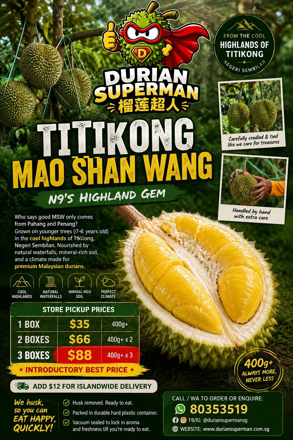 Titikong Mao Shan Wang poster from Durian Superman (Chinese text: 榴莲超人). MSW grown in the cool highlands of Titikong, Negeri Sembilan, nourished by natural waterfalls and mineral-rich soil. Store pickup prices: 1 box $35, 2 boxes $66, 3 boxes $88 introductory best price; every box 400g or more. Add $12 for islandwide delivery. Husk removed, packed in a hard plastic container and vacuum sealed. Call or WhatsApp 80353519 to order.